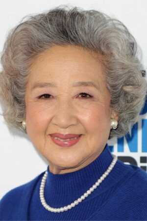 Shuzhen Zhao